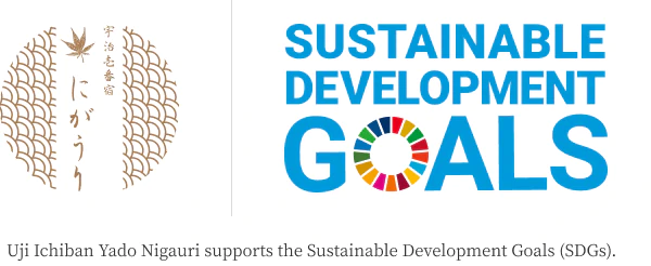 the Sustainable Development Goals (SDGs).